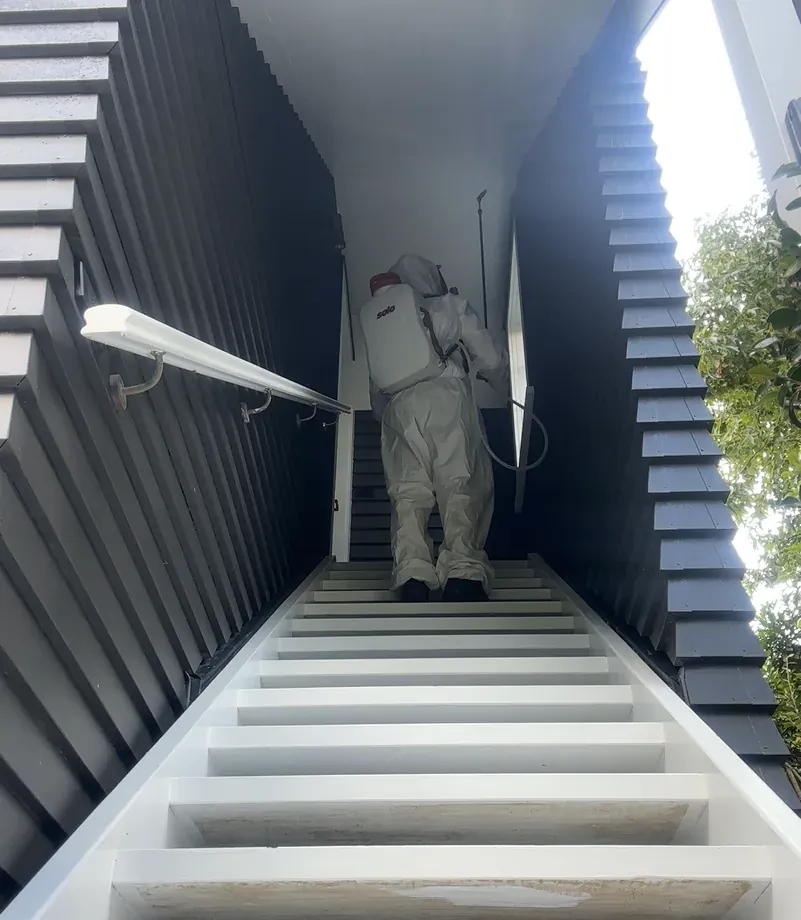 Technician applying exterior treatment for fly control at a residential property