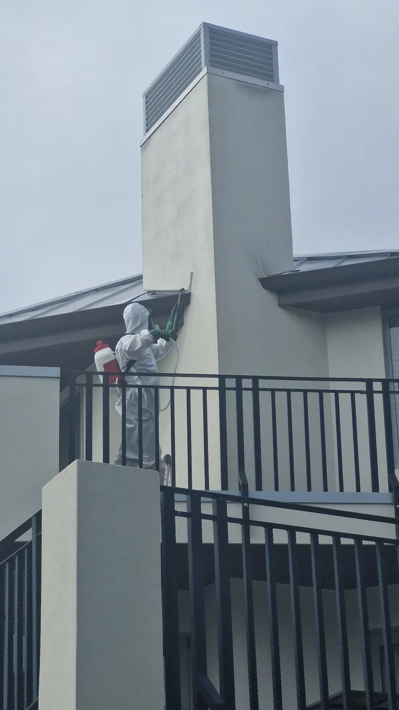 Pest OFF Company technician treating the exterior of a residential property in Auckland