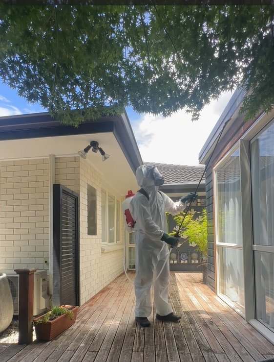 Pest OFF Company technician treating the exterior of a residential property in Auckland