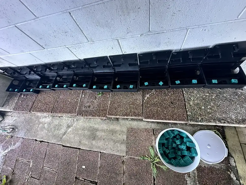 Tamper-resistant rodent bait stations installed by Pest OFF Company along an exterior wall in Auckland
