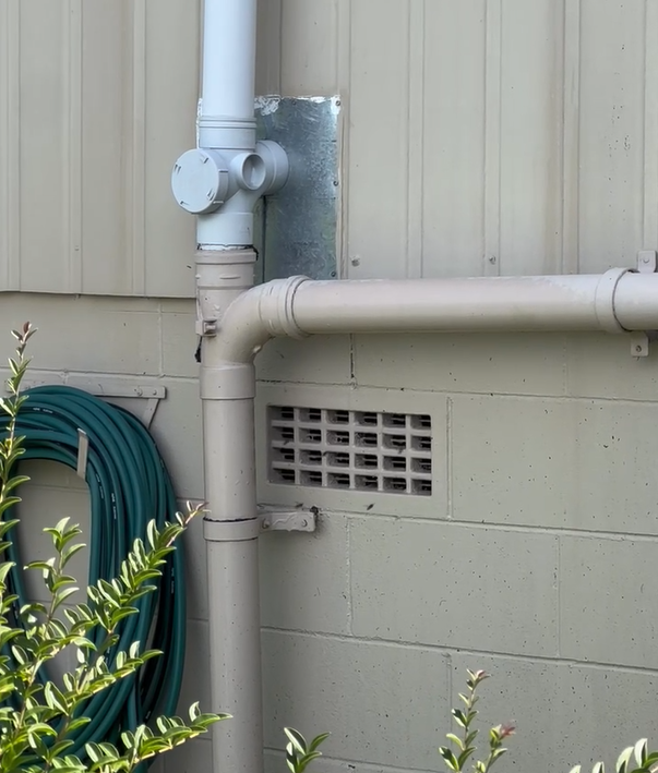 Technician treating an exterior entry point for wasp nest removal